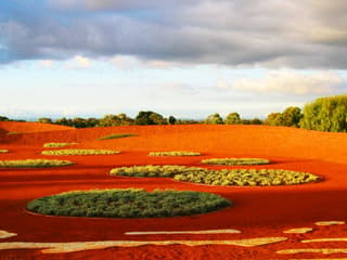 The Explorer - Cranbourne Gardens
