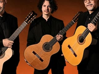 Barcelona: Guitar Trio & Flamenco Dance at Real Circulo — gallery 3