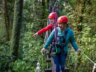 Rotorua Forest Zipline Experience — gallery 3