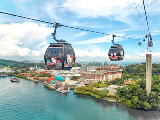 Singapore Cable Car SkyPass with Meals at Arbora Cafe — gallery 1