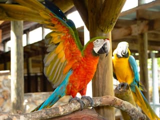 Gatorland Skip-the-Line Tickets — gallery 2
