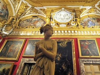 Palazzo Pitti & Palatine Gallery: Reserved Entrance + Audio Guide — gallery 1