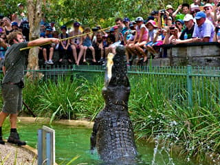 Australian Reptile Park Ticket — gallery 2