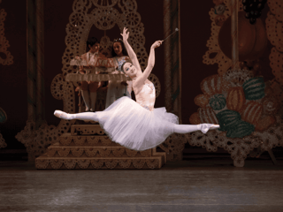 The Nutcracker — gallery 3