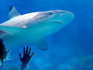 SEA LIFE Munich Ticket — gallery 2
