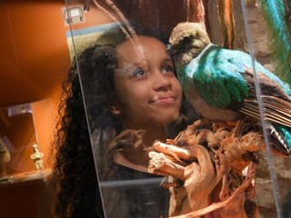 Choco-Story Paris + Musée Grévin + Aquarium de Paris — gallery 1