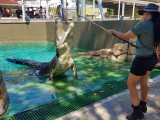 Crocosaurus Cove Tickets — gallery 2
