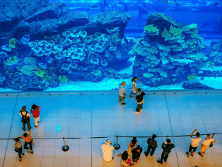 Dubai Aquarium & Underwater Zoo: Gold Pass — gallery 2