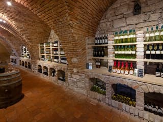 Guided Wine Tasting in a Private Wine Cellar — gallery 3