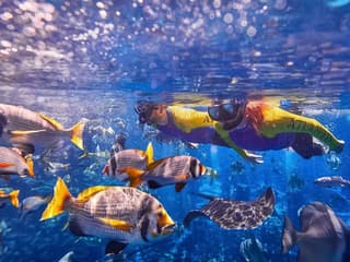 Atlantis Snorkeling & Scuba Diving — gallery 3