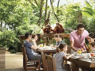 Singapore Zoo: Entry Ticket + Hotel Pickup — gallery 2