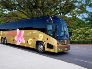 Haleiwa & Dole Plantation Express Half-Day Tour — gallery 2
