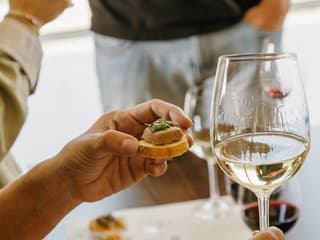 Jean Leon Winery: Guided Tour + Wine & Tapas Pairing — gallery 2