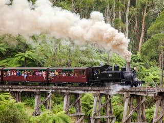 From Melbourne: Puffing Billy Steam Train Half-Day Tour with Transfers — gallery 1