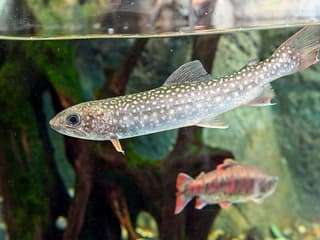 Sunshine Aquarium Tickets — gallery 2