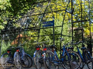 Amsterdam: Small Group Guided Bike Tour — gallery 3