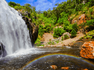 Full-Day Guided Tour of Grampians National Park with Hotel Transfers — gallery 2