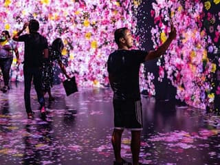 Experiència d'Art Immersiu Superblue Miami amb la col·laboració de teamLab, Superblue Miami, Miami