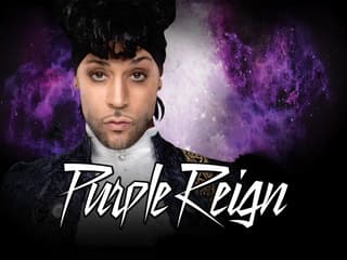 Purple Reign — gallery 1