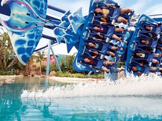 SeaWorld Orlando: Entry Ticket + Optional All-Day Dining Deal — gallery 1