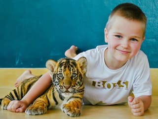 Tiger Park Tickets — gallery 2