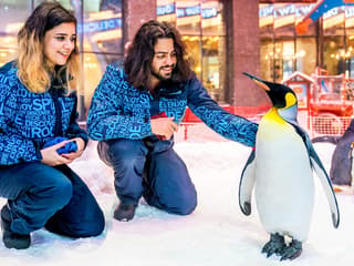 Ski Dubai: Snow Premium Tickets with Penguin Encounter — gallery 1