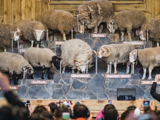 Agrodome Authentic Farm Experience Tickets — gallery 2