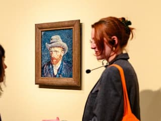 Van Gogh Museum: Skip The Line Entry + 2-Hr Guided Tour — gallery 1