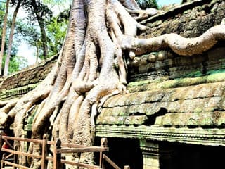 Angkor Wat: Sunrise Guided Tour — gallery 1