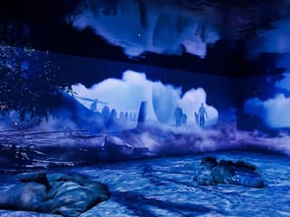 بلیط ورود به نمایشگاه تعاملی وایکینگ‌ها, The Viking Immersive Exhibition, Rouen