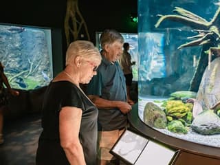 Cairns Aquarium & Tomb of the Pharaohs: Entry Ticket — gallery 1