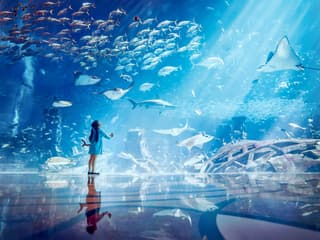 Atlantis Snorkeling & Scuba Diving — gallery 1