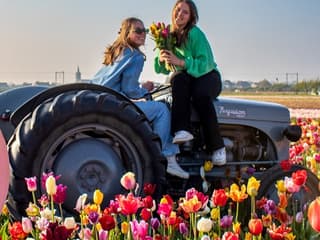 The Tulip Barn: Entry Ticket — gallery 3