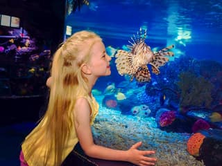 SEA LIFE London Aquarium Behind The Scenes Tour — gallery 1