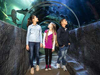 SEA LIFE Munich Ticket — gallery 1