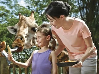 Singapore Zoo: Entry Ticket + Hotel Pickup — gallery 1