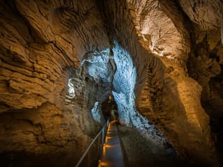 Ruakuri Cave Guided Tour — gallery 2