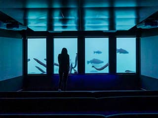 Time Tripper: Hidden Underwater Theatre Experience Tickets — gallery 3