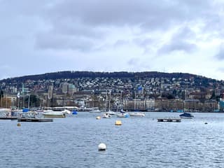 Zürich Guided Tour with Cable Car & Sightseeing Cruise — gallery 2