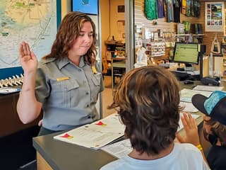 Everglades National Park: Half‑Day Tour with Airboat, Guided Nature Walk & Transportation — gallery 2