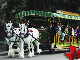 Vancouver: Stanley Park Horse-Drawn Guided Tour — gallery 1