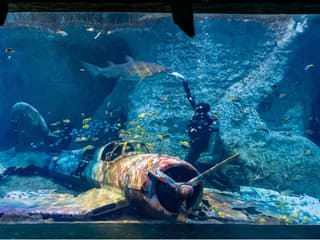 National Aquarium Abu Dhabi All Access Pass Tickets — gallery 1