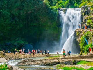 Ubud: ATV Adventure with Sacred Monkey Forest & Tegalalang Rice Terrace — gallery 2