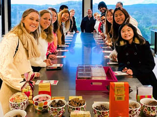 From Melbourne: Yarra Valley Grazing Tour with Gourmet Lunch, Gin, Wine, Cheese & Chocolate Tastings, & Healesville Stop — gallery 1
