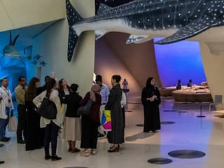 National Museum of Qatar: Entry Ticket + Audio Guide — gallery 2