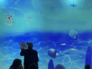 Metartworld Admission — gallery 2