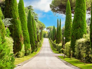 Castel Gandolfo Full Experience with Eco-Minibus Tour of Pontifical Gardens — gallery 2