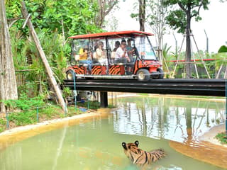 Tiger Park Biletleri, Tiger Park Phuket, Phuket