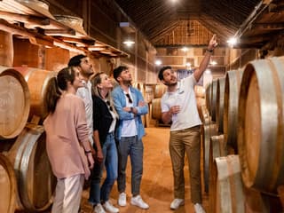 From Madrid: Toledo Day Trip with Vineyard Experience — gallery 1