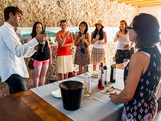 Small Group Wine Tour in Arrábida from Lisbon — gallery 2